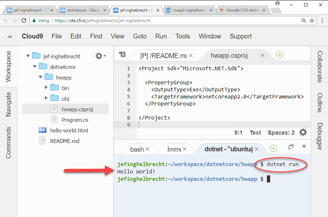 Cloud9 dotnet run in hwapp folder